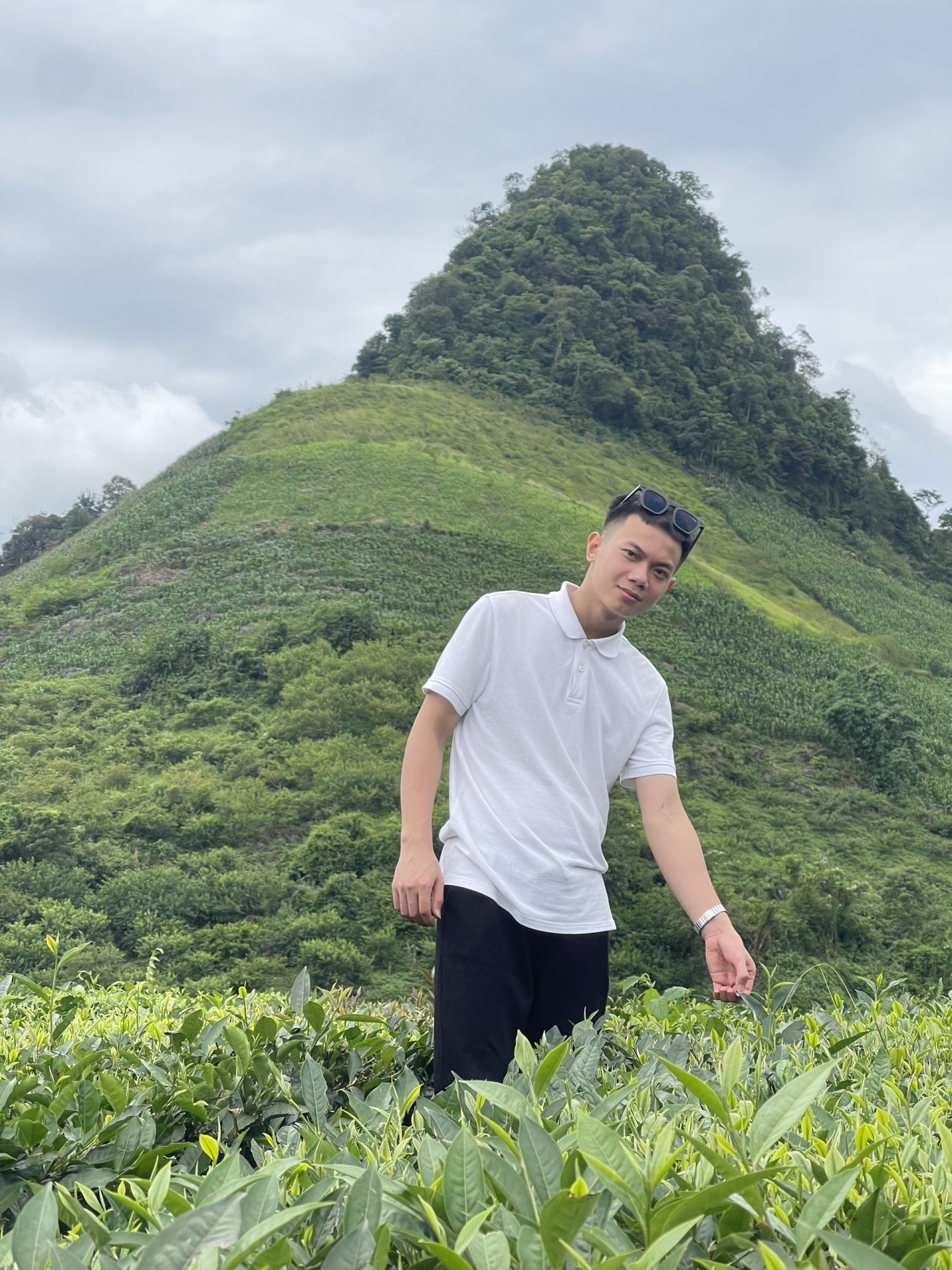 Mr. Tùng Hoàng